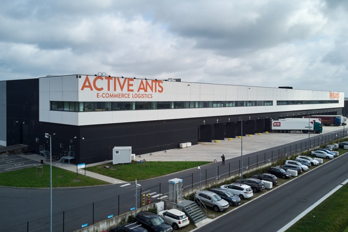 Vooraanzicht Active Ants Willebroek